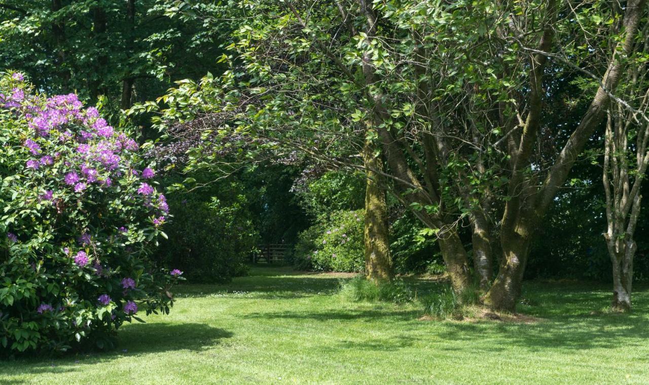 Penzion Blacket House Eaglesfield Exteriér fotografie